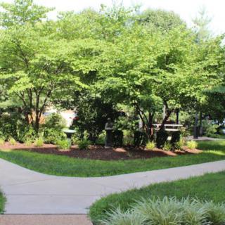 A serene garden with lush greenery and a winding pathway.