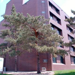 A brick building with a tree in the foreground.