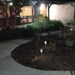 A serene garden area illuminated at night, showcasing a winding pathway surrounded by lush greenery.