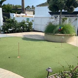 Outdoor putting green in a landscaped garden setting.