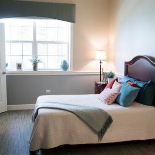 A modern bedroom with a neatly made bed, accented pillows, a bedside lamp, and natural light streaming through the window.