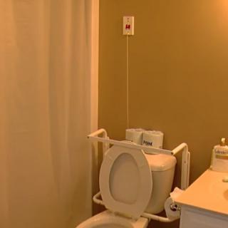 An accessible bathroom featuring a toilet with grab bars and a shower curtain.