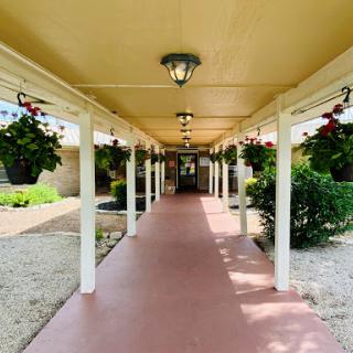 A serene hallway adorned with hanging plants and bright lighting, leading to an inviting entrance.
