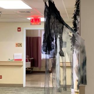 A hallway with spooky Halloween decorations hanging from the ceiling.