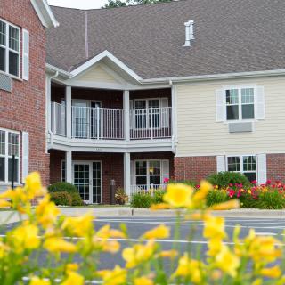 A charming residential building with a landscaped garden featuring vibrant yellow flowers.