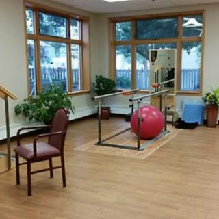 A rehabilitation room featuring parallel bars, an exercise ball, and indoor plants.