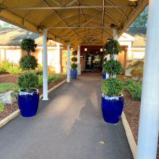 A beautifully landscaped entrance featuring a canopy walkway adorned with blue potted plants.
