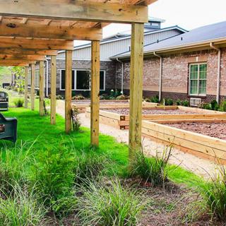 A serene outdoor garden area featuring raised wooden planters and a pergola next to a brick building.