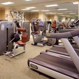 A well-equipped gym with various exercise machines and treadmills.