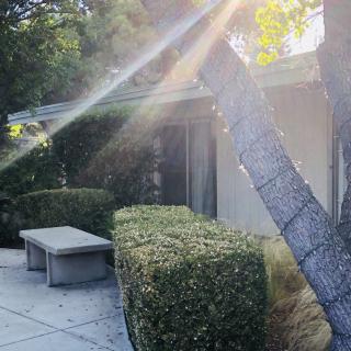 Sunlight streams over a garden pathway, highlighting a stone bench and neatly trimmed hedges.