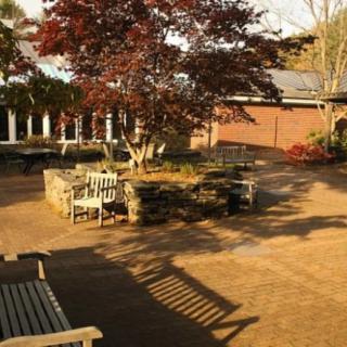 A tranquil courtyard with benches and a tree, bathed in autumn sunlight.