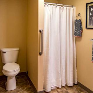 A bathroom with a shower, toilet, and essential accessories.