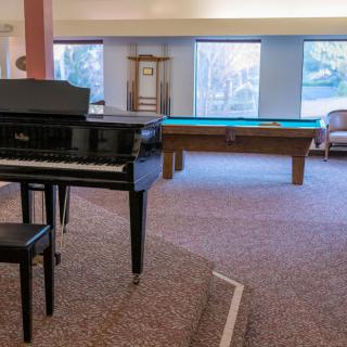 A cozy room featuring a grand piano and a pool table with large windows providing natural light.