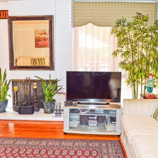 A cozy living room featuring a television, indoor plants, and a fireplace.