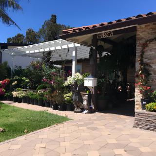 A beautiful garden area with a variety of plants and flowers next to a brick patio.