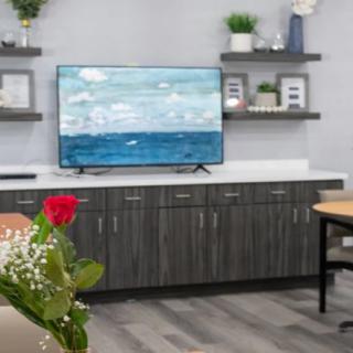 A modern living room with a TV, decorative shelves, and plants.