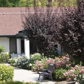 A peaceful garden with a bench surrounded by vibrant flowers and trees.