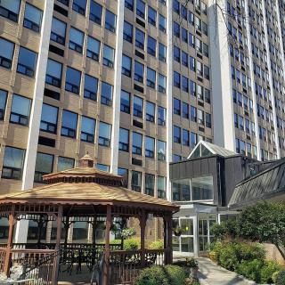 An urban scene featuring a tall skyscraper and a wooden gazebo surrounded by greenery.