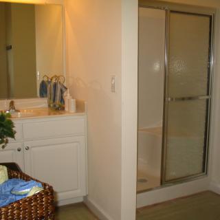 A bathroom with a sink and mirror next to a shower enclosure.