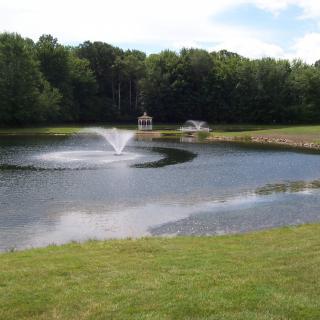 A scenic view of a pond with a fountain and surrounding greenery.