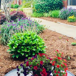 A vibrant garden pathway adorned with colorful flowers and lush greenery.