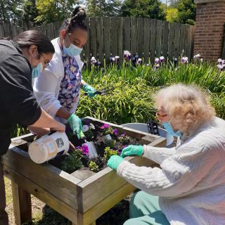 Group of people engaged in gardening activities together.