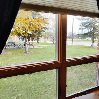A view of grass and trees seen through a window on an autumn day.