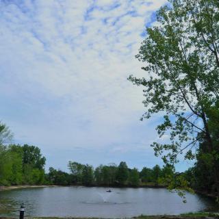 A peaceful pond surrounded by trees under a partly cloudy sky.