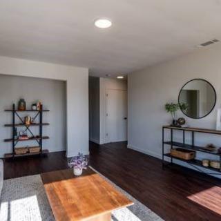 A modern, minimalist living room with hardwood floors and stylish decor.