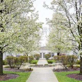 A picturesque garden pathway lined with blossoming trees in spring.