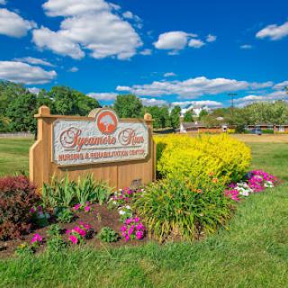 Welcome to a vibrant park showcasing beautifully maintained flowers and a clear blue sky.