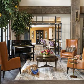 A cozy living room with a piano, armchairs, and a dog resting on the floor.