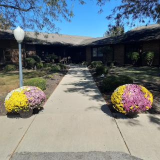 A vibrant pathway adorned with colorful flower arrangements leading up to a building.