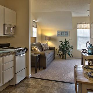 A cozy apartment with an open layout, featuring a kitchen area and a welcoming living room.