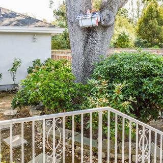 A backyard garden featuring lush greenery, a large tree, and a decorative fence.