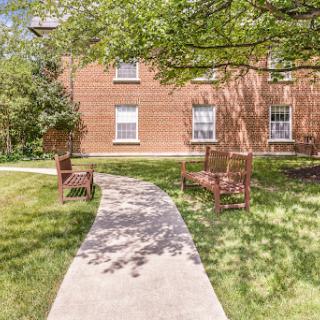 A peaceful outdoor space featuring a paved walkway leading to seating surrounded by greenery.