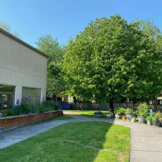 A sunny day with a lush green tree next to a building and a pathway.
