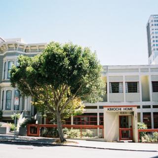 A sunny street view featuring urban buildings and a large tree.