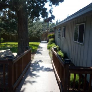 A pathway leading to a house surrounded by a garden with trees.