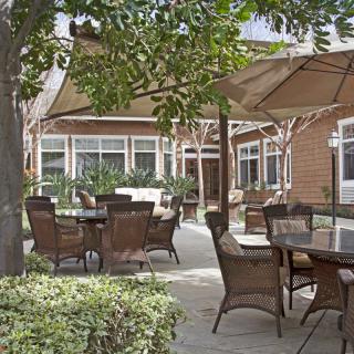 A cozy outdoor patio with tables, chairs, and umbrellas surrounded by greenery.