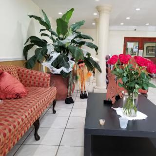 A cozy lobby area featuring a comfortable sofa, decorative flowers, and vibrant green plants.