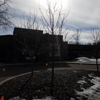 A view of a building surrounded by bare trees and remnants of snow on a cloudy winter day.