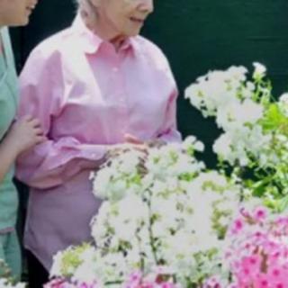 An elderly woman surrounded by vibrant flowers in a garden.