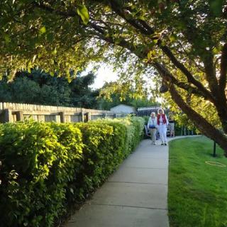 A sunny pathway surrounded by lush greenery, with people walking in the distance.
