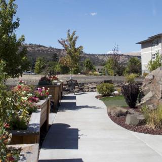 A scenic garden pathway with benches and trees under a clear blue sky.