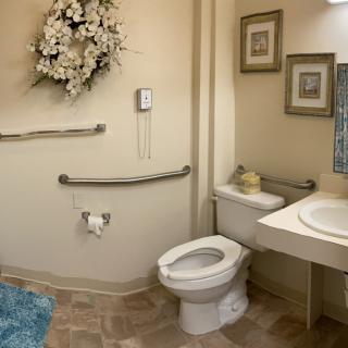 An accessible bathroom with support handrails, a toilet, sink, and decorative elements.