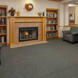 A cozy living room with a fireplace surrounded by bookshelves and comfortable seating.