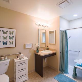 A well-lit, accessible bathroom featuring a sink with a mirror, shower area, and toilet.