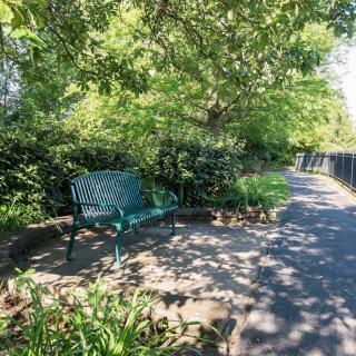 A peaceful park scene with a bench along a shaded pathway surrounded by greenery.