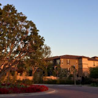 A serene residential area showcasing elegant architecture and vibrant landscaping during sunset.
